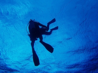  diving with friends 
